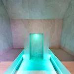 Apartman Schwarzenbach - & Rooftop Pool Feldberg